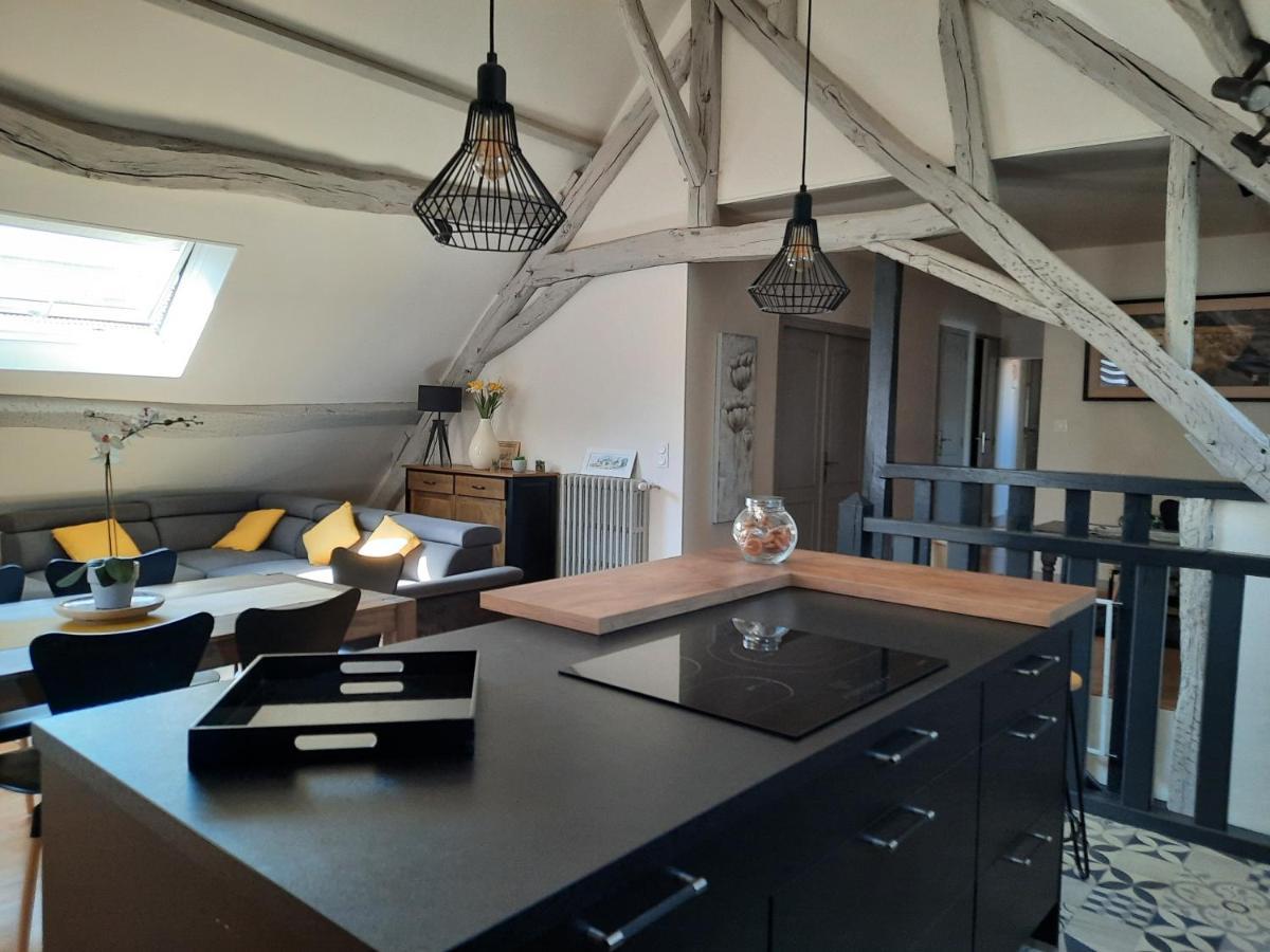 Grand Appartement Tout Confort Proche De Chambord Saint-Claude-de-Diray 외부 사진