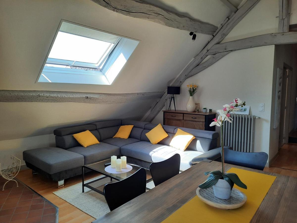 Grand Appartement Tout Confort Proche De Chambord Saint-Claude-de-Diray 외부 사진