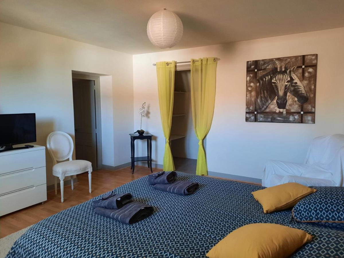 Grand Appartement Tout Confort Proche De Chambord Saint-Claude-de-Diray 외부 사진