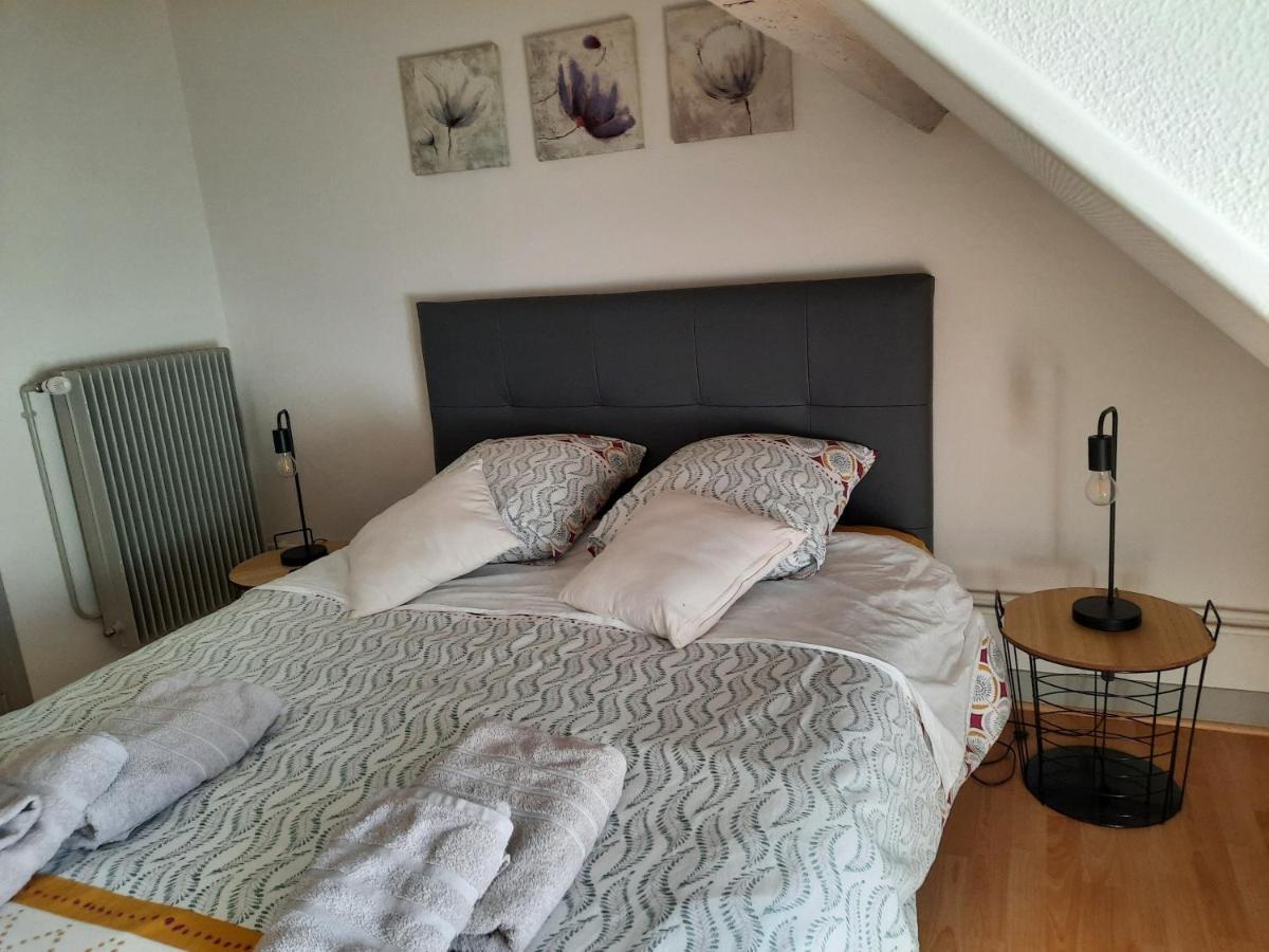 Grand Appartement Tout Confort Proche De Chambord Saint-Claude-de-Diray 외부 사진